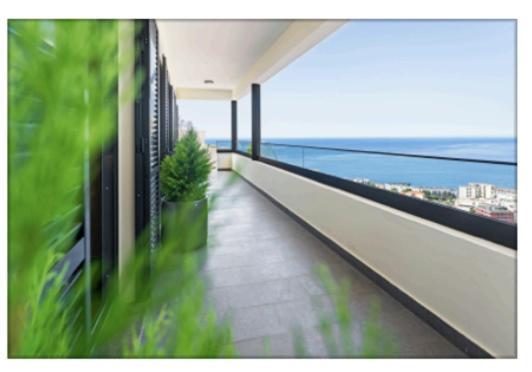 푼샬 The View Madeira 빌라 외부 사진